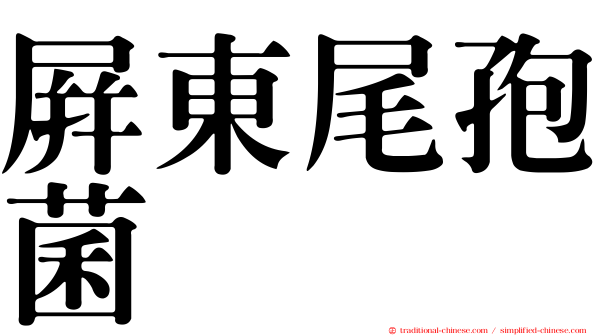 屏東尾孢菌