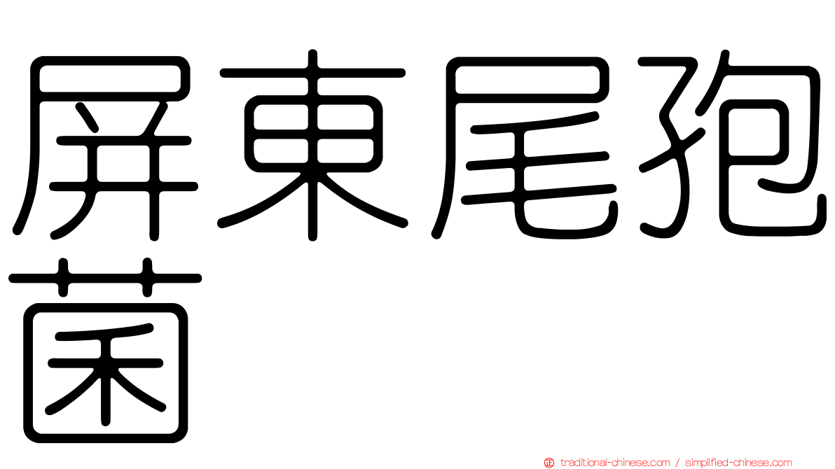 屏東尾孢菌