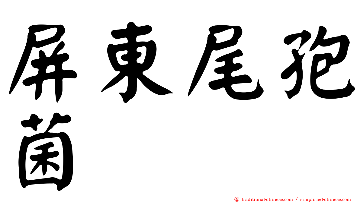 屏東尾孢菌