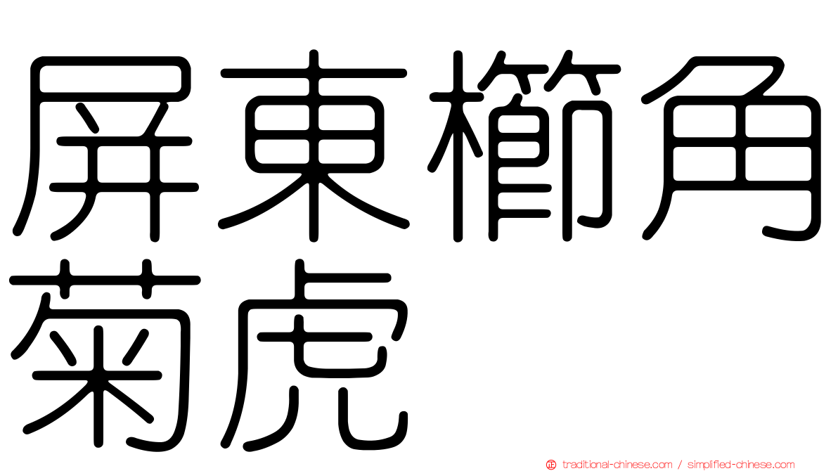 屏東櫛角菊虎