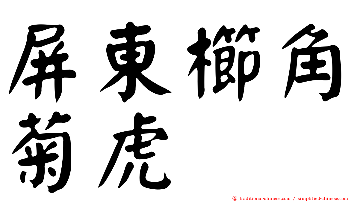 屏東櫛角菊虎