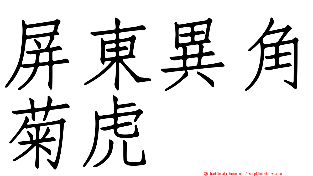 屏東異角菊虎