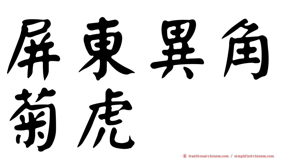 屏東異角菊虎