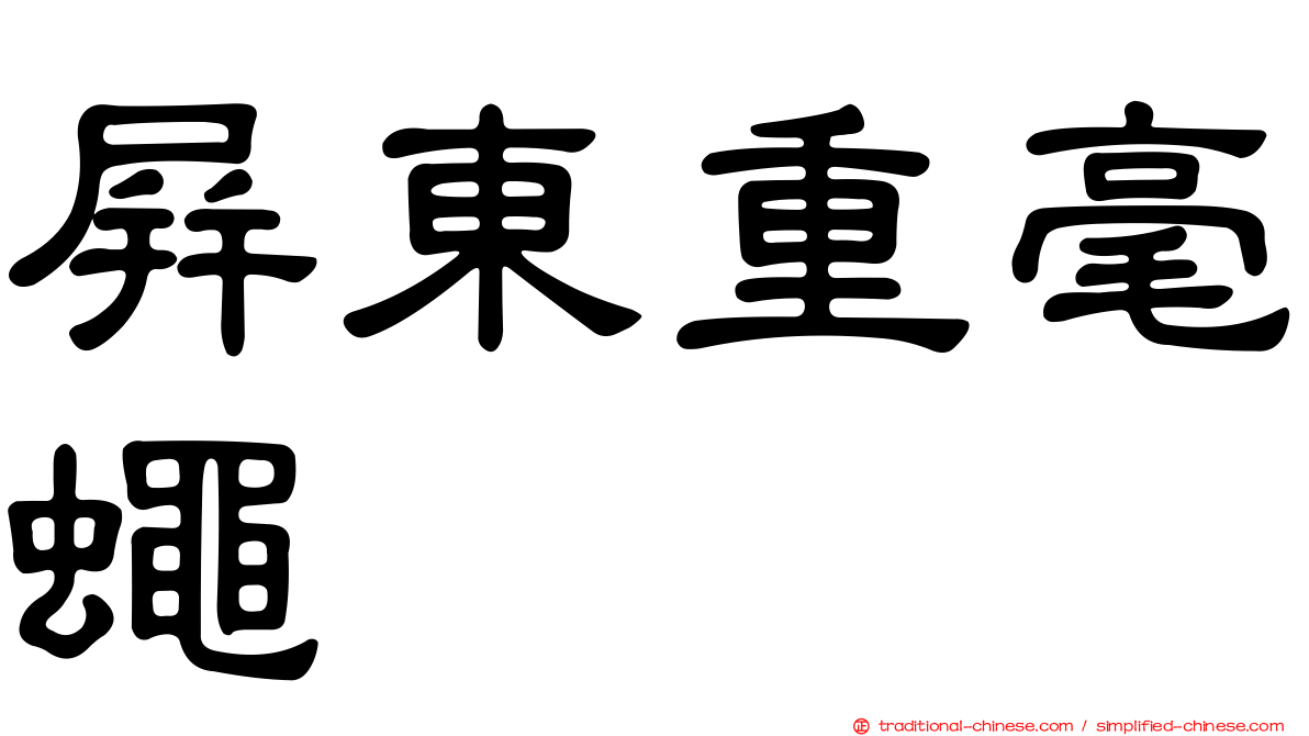 屏東重毫蠅