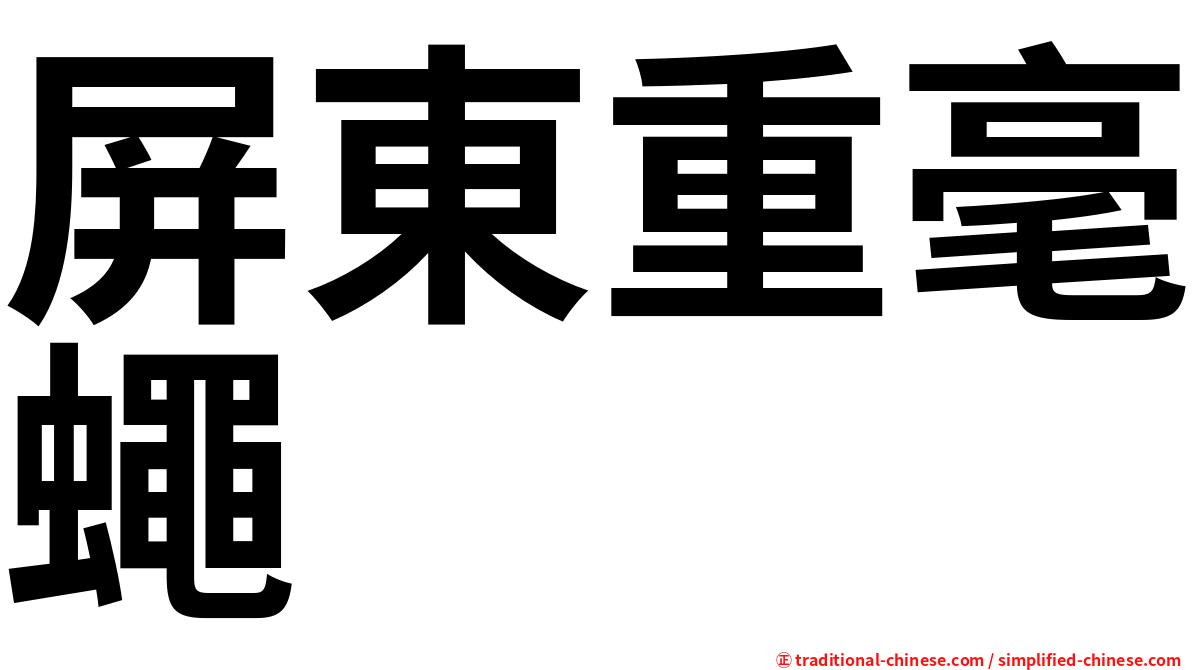 屏東重毫蠅