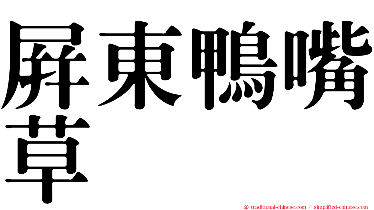 屏東鴨嘴草