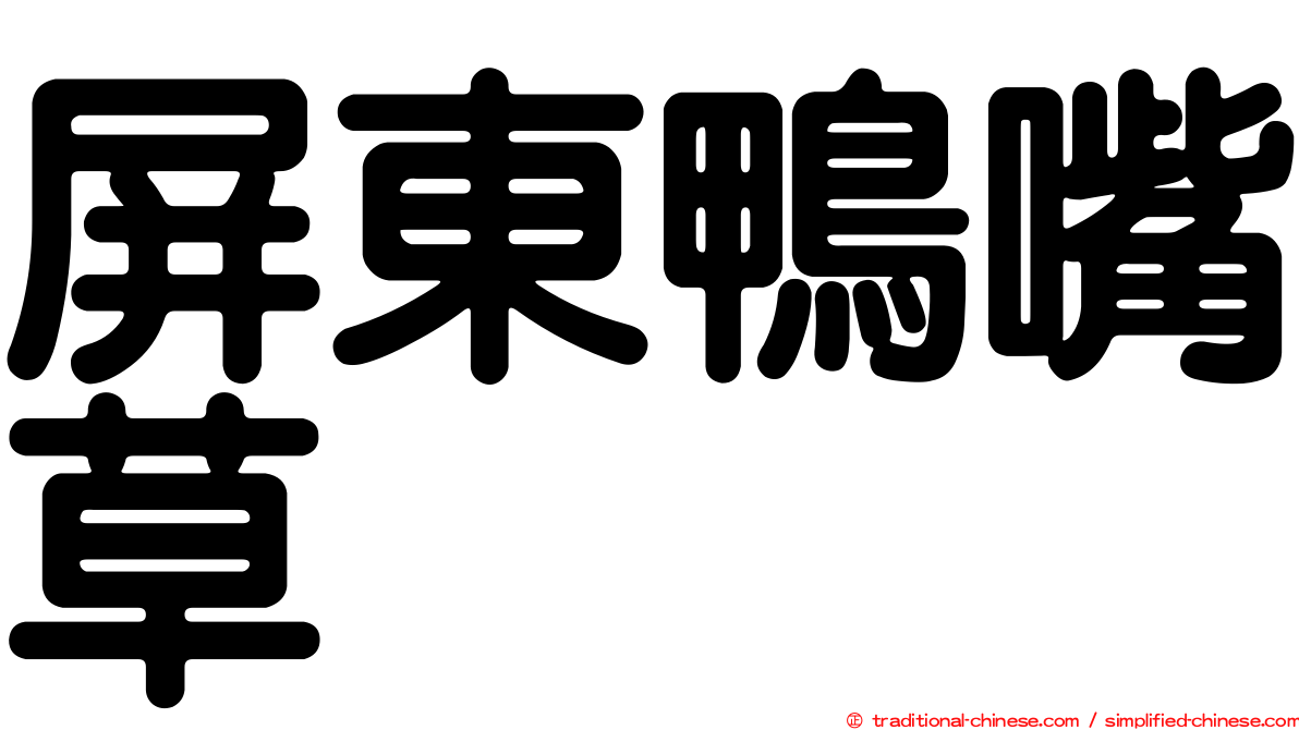 屏東鴨嘴草