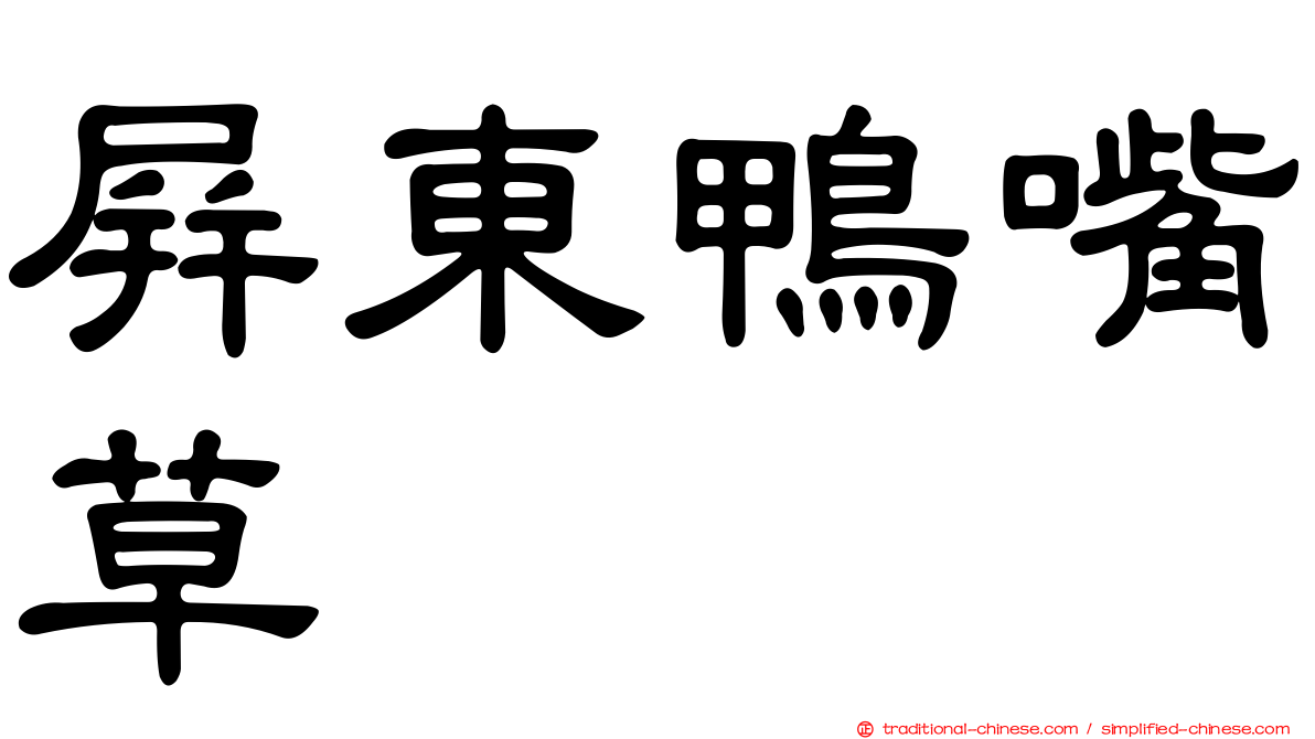 屏東鴨嘴草