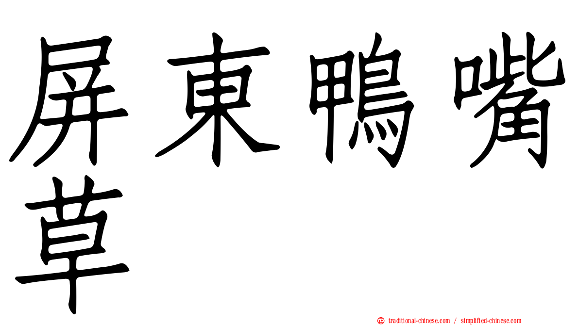 屏東鴨嘴草