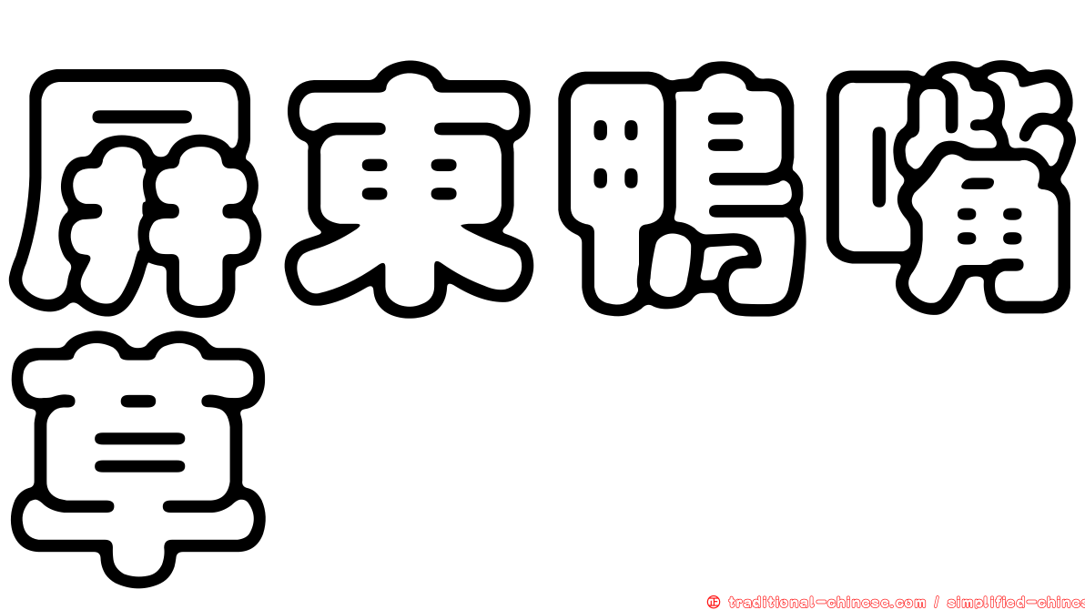 屏東鴨嘴草