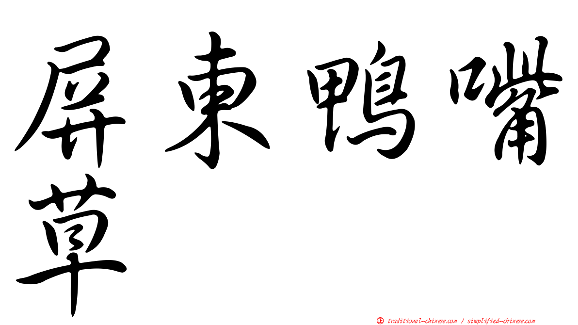 屏東鴨嘴草