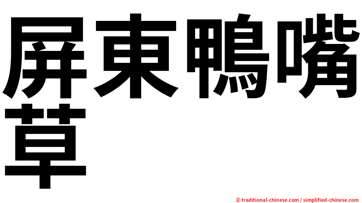 屏東鴨嘴草