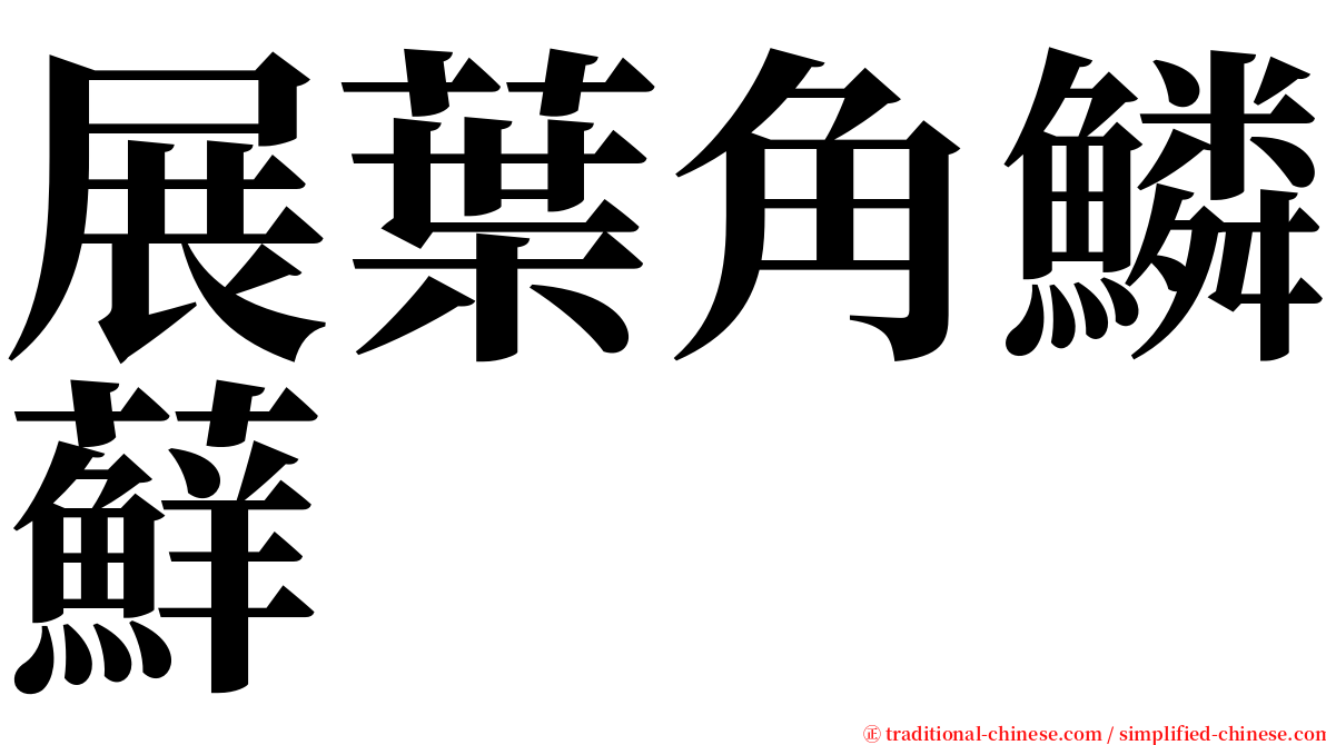 展葉角鱗蘚 serif font