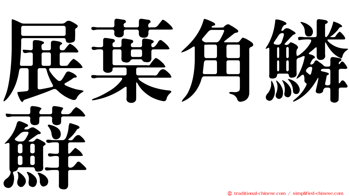 展葉角鱗蘚
