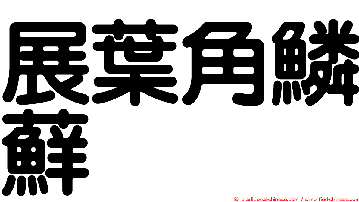 展葉角鱗蘚