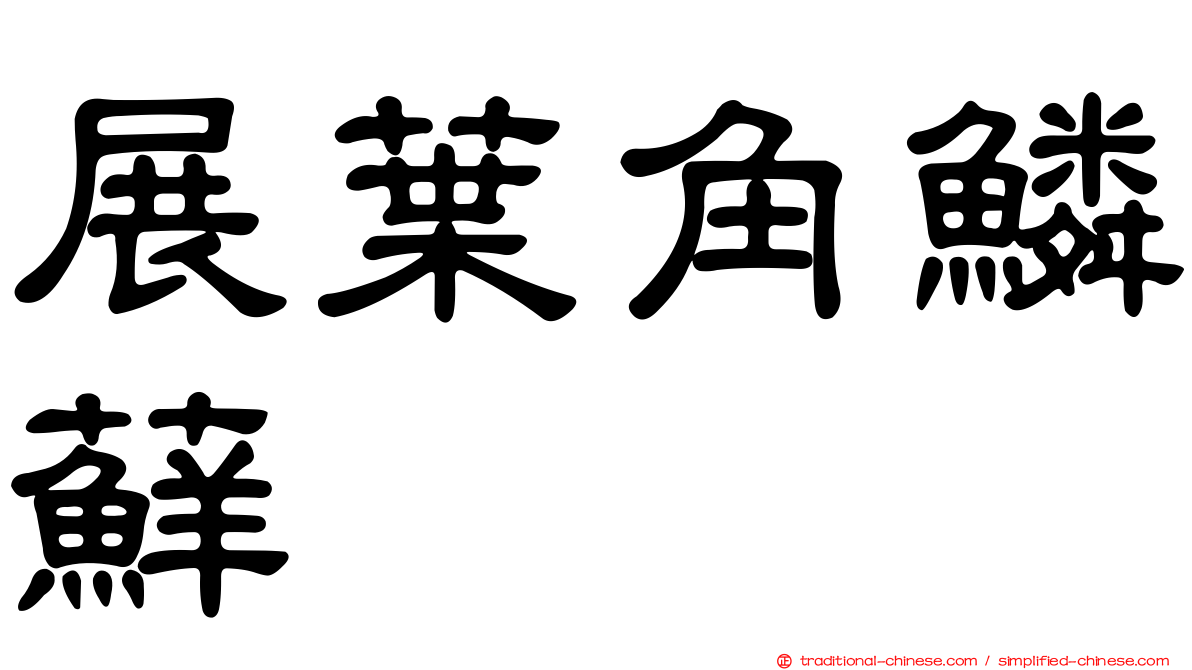 展葉角鱗蘚