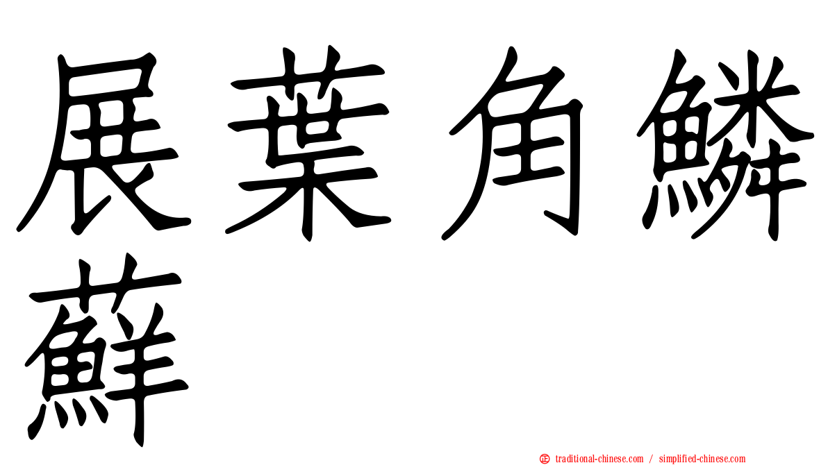 展葉角鱗蘚