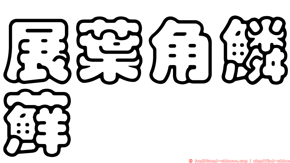 展葉角鱗蘚