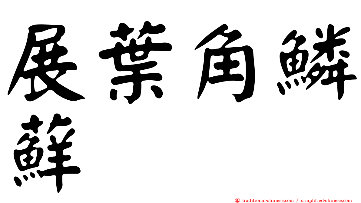 展葉角鱗蘚