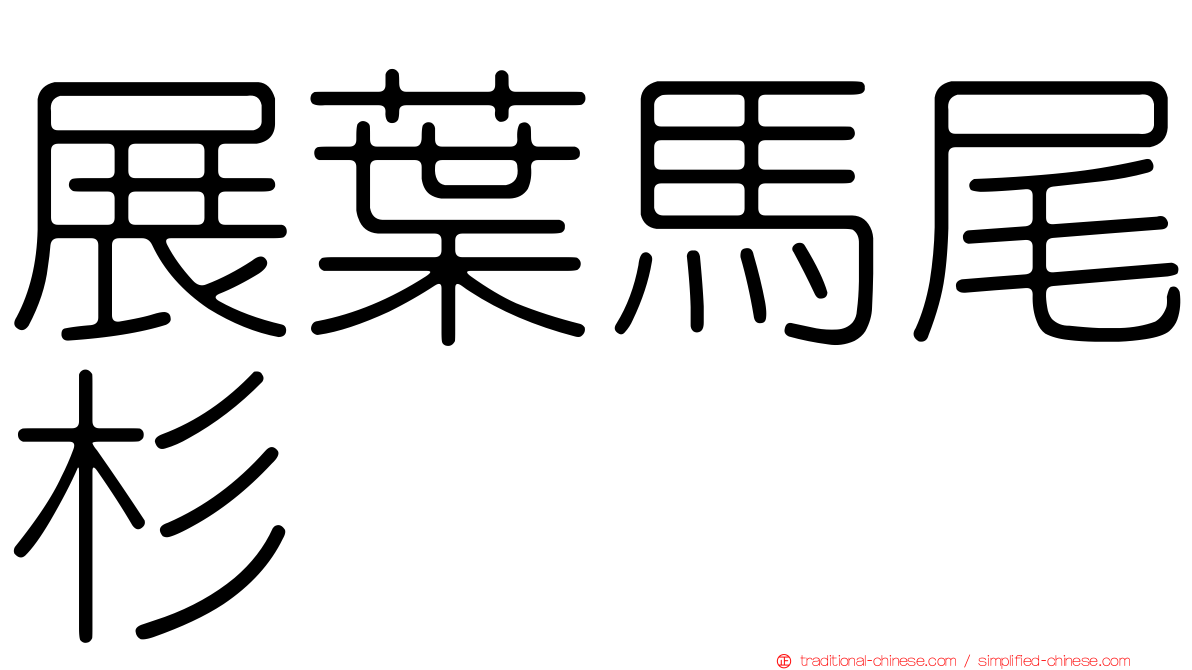 展葉馬尾杉