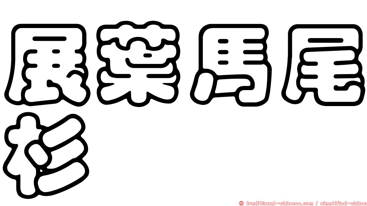 展葉馬尾杉