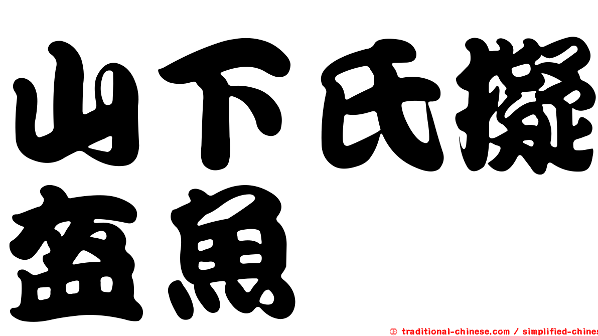山下氏擬盔魚