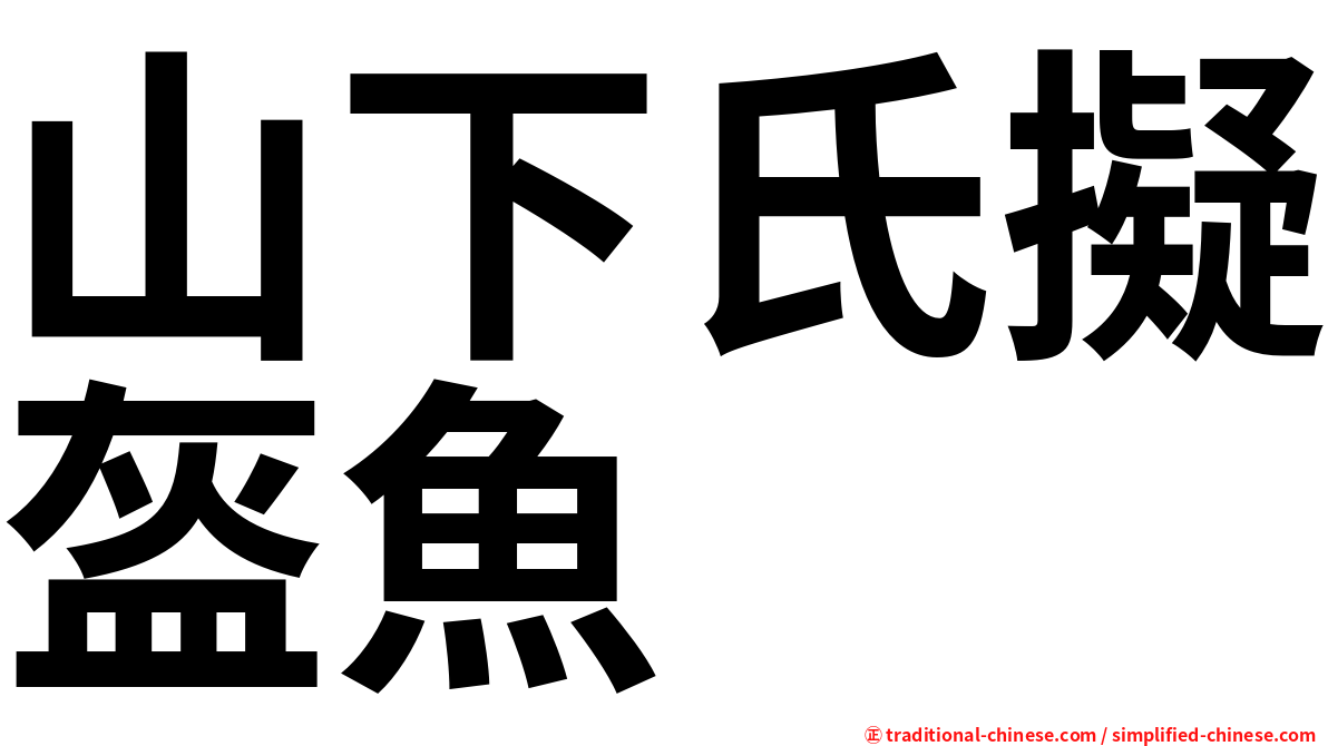 山下氏擬盔魚