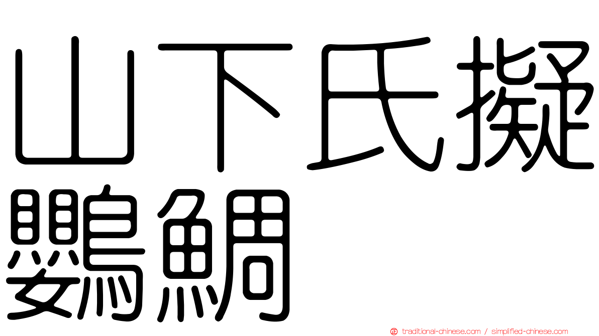 山下氏擬鸚鯛