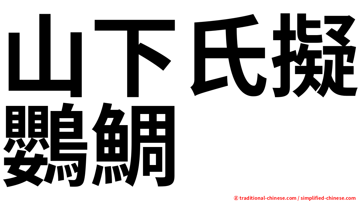 山下氏擬鸚鯛