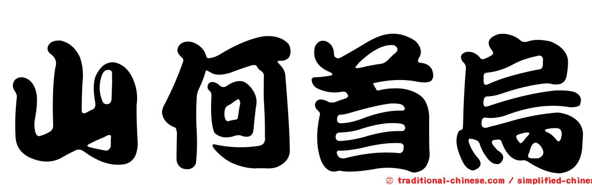 山何首烏