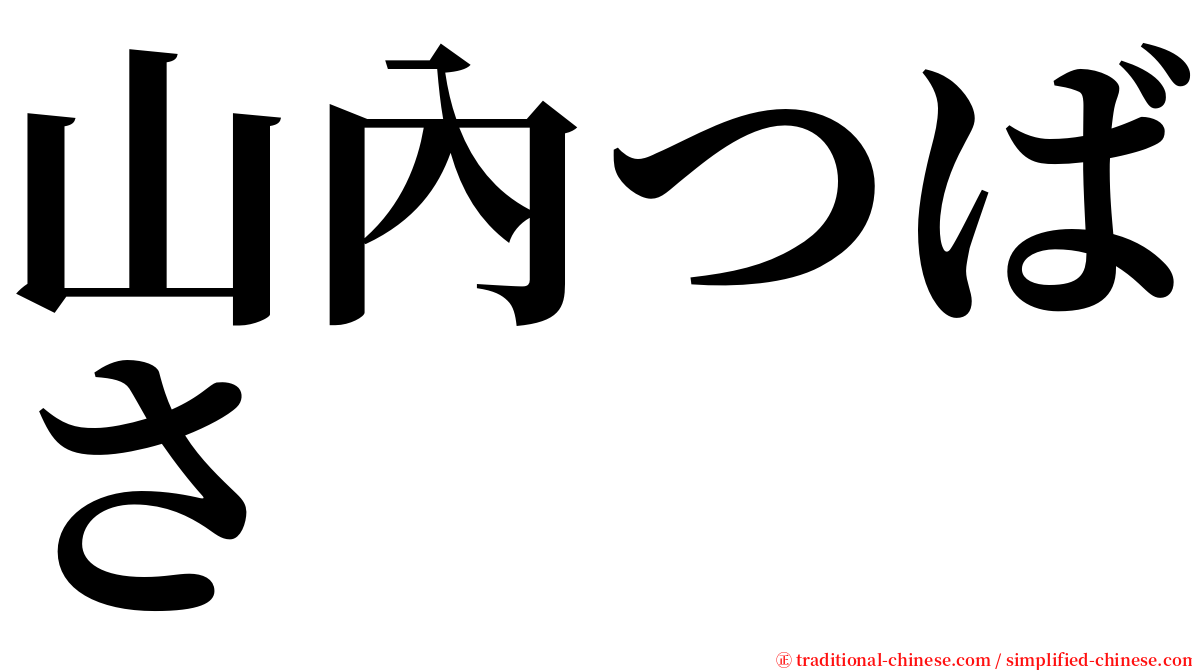 山內つばさ serif font