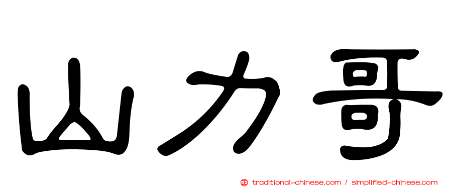 山力哥