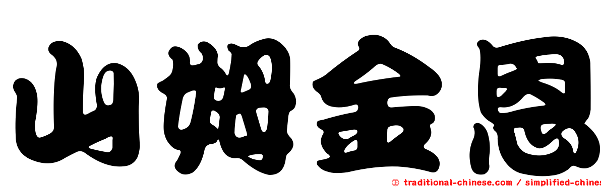 山姆金恩