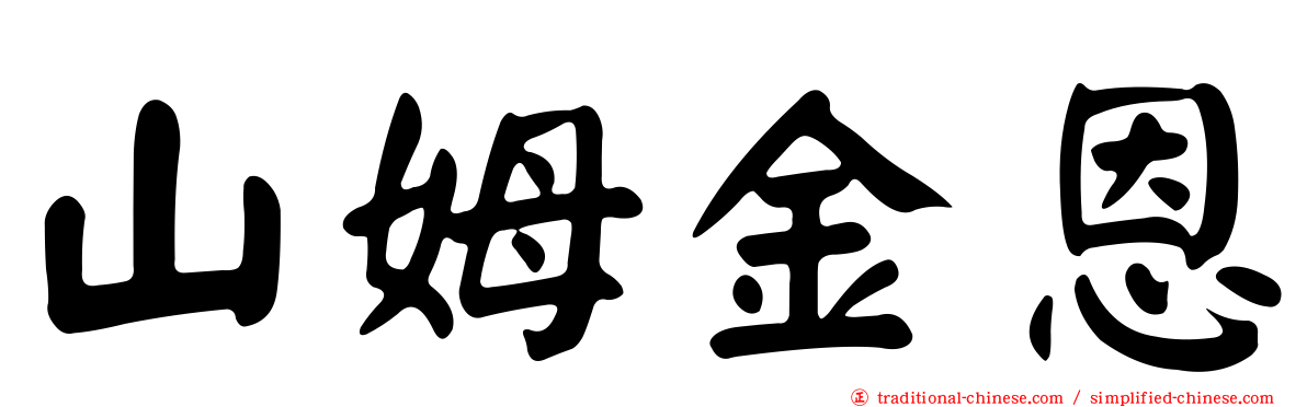 山姆金恩
