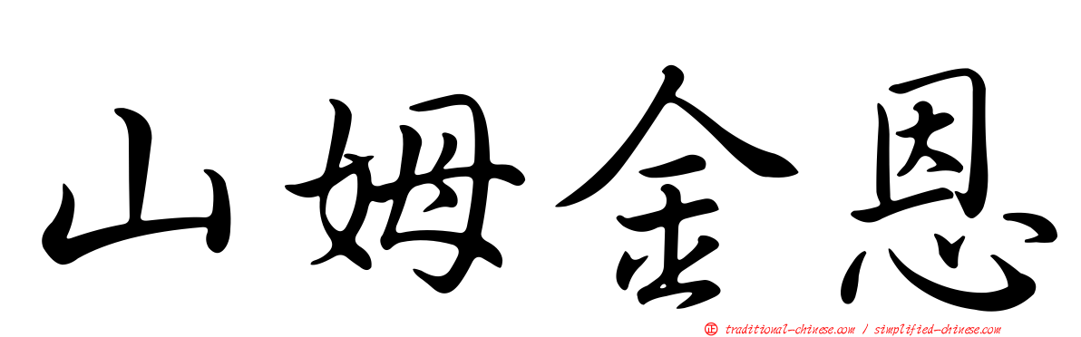 山姆金恩