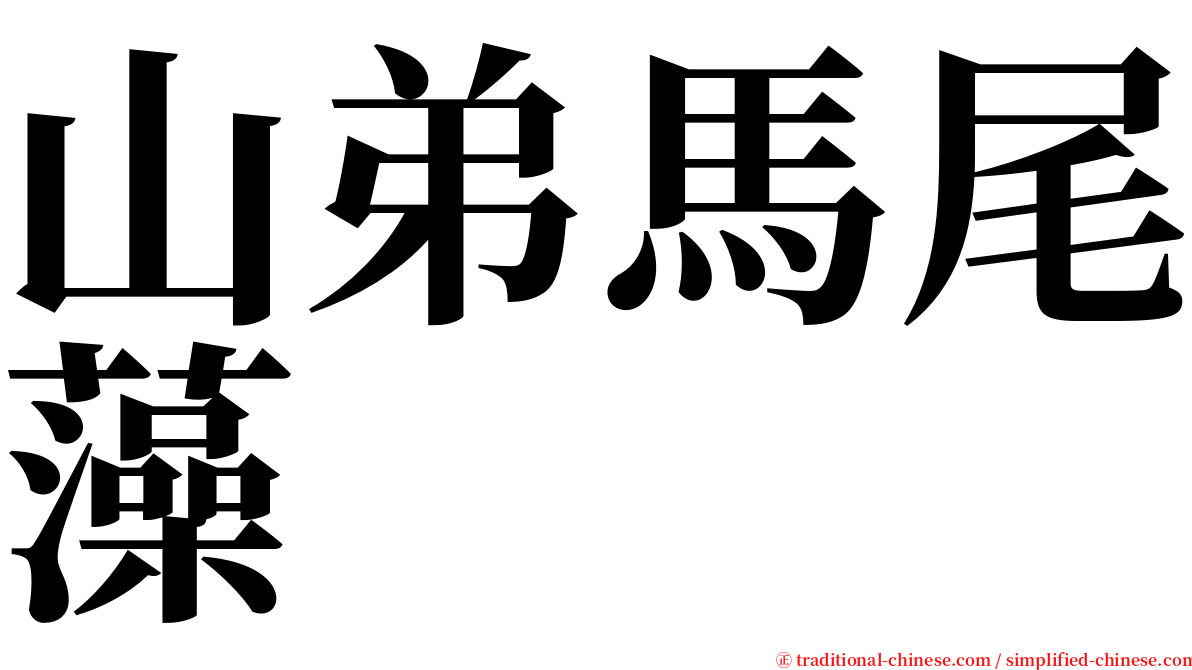山弟馬尾藻 serif font