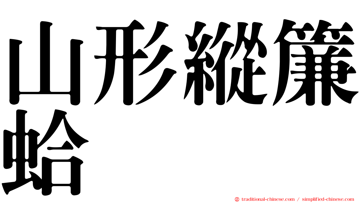 山形縱簾蛤