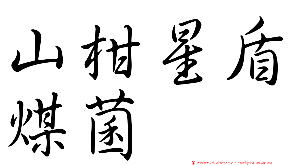 山柑星盾煤菌