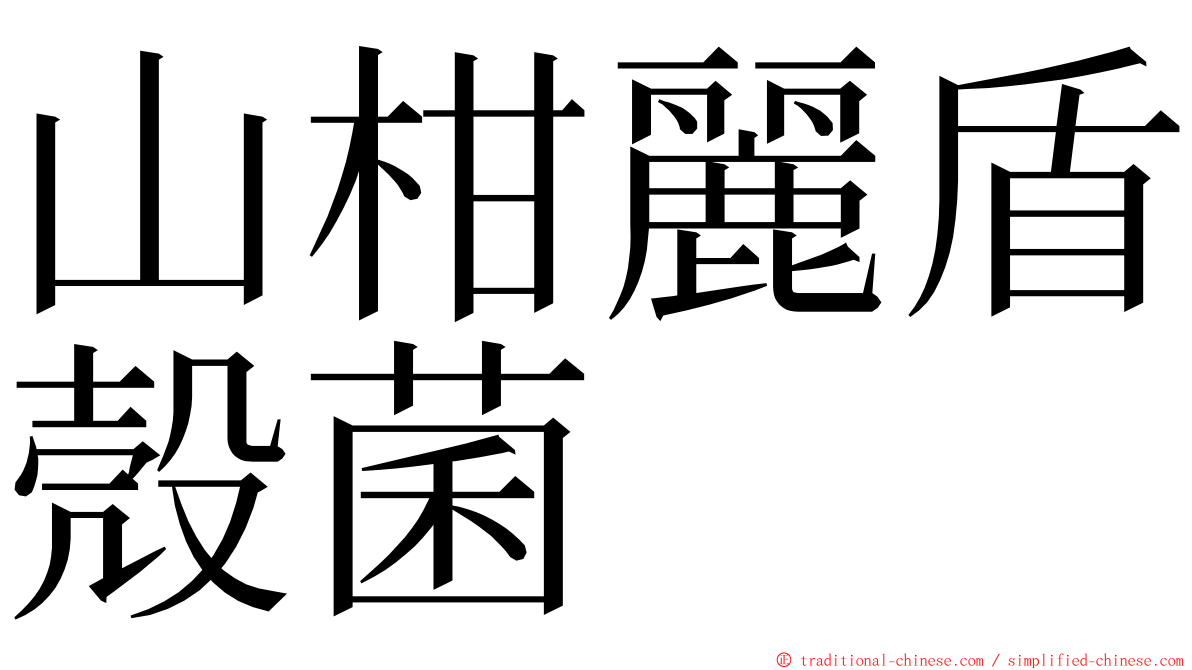 山柑麗盾殼菌 ming font
