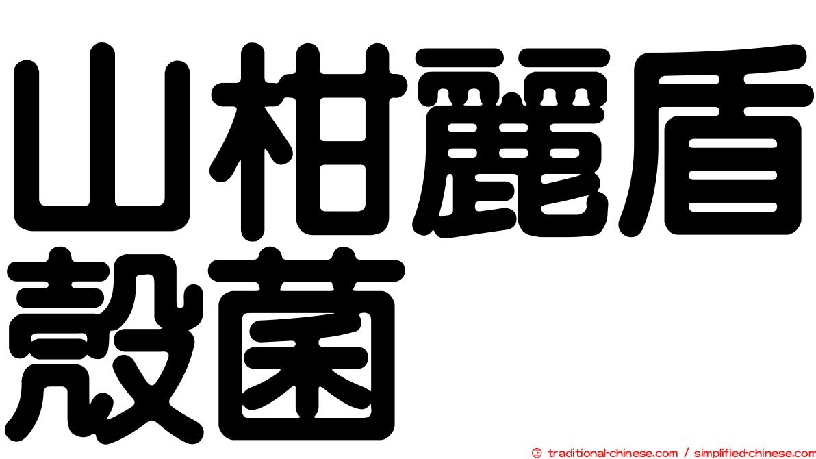 山柑麗盾殼菌