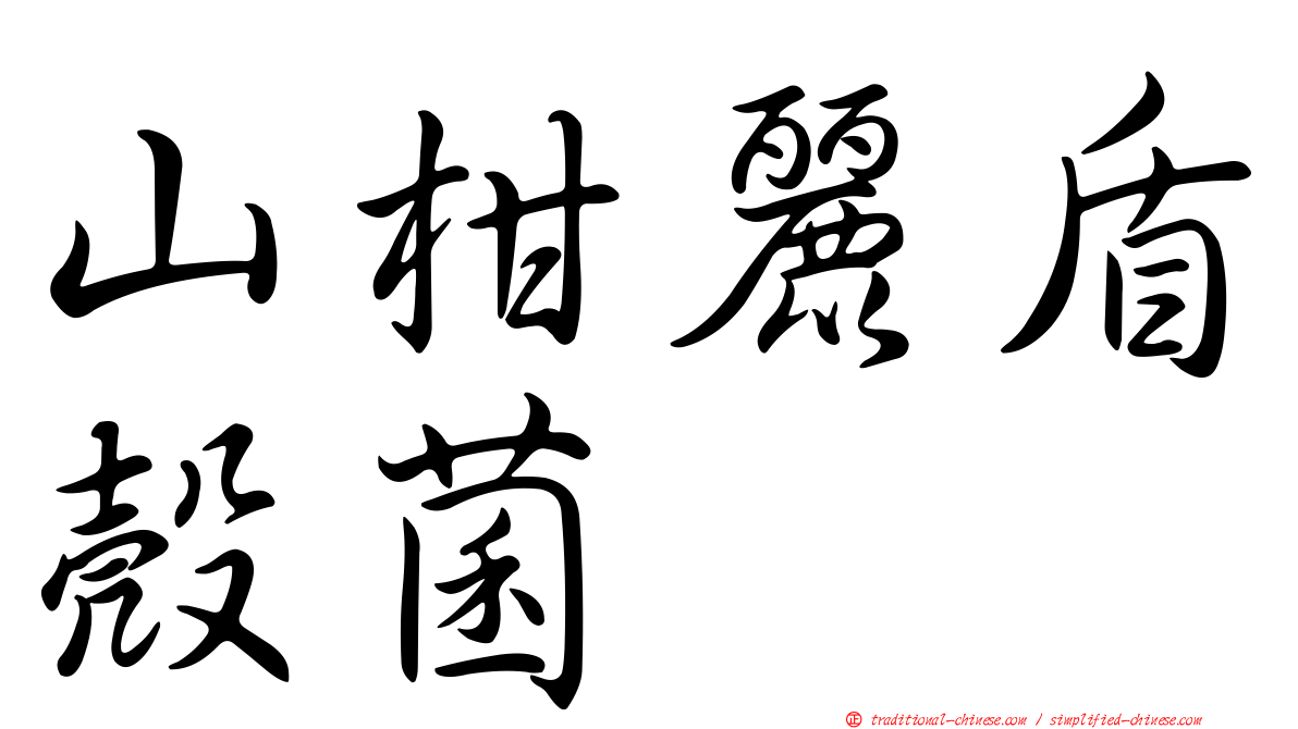 山柑麗盾殼菌