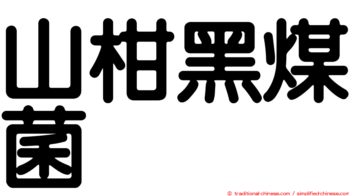 山柑黑煤菌