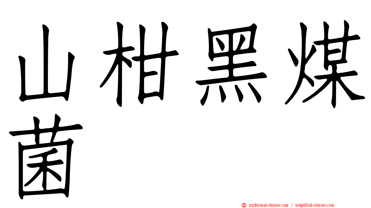 山柑黑煤菌