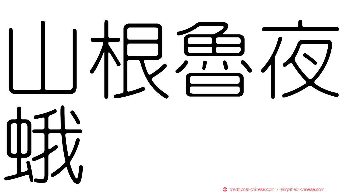 山根魯夜蛾