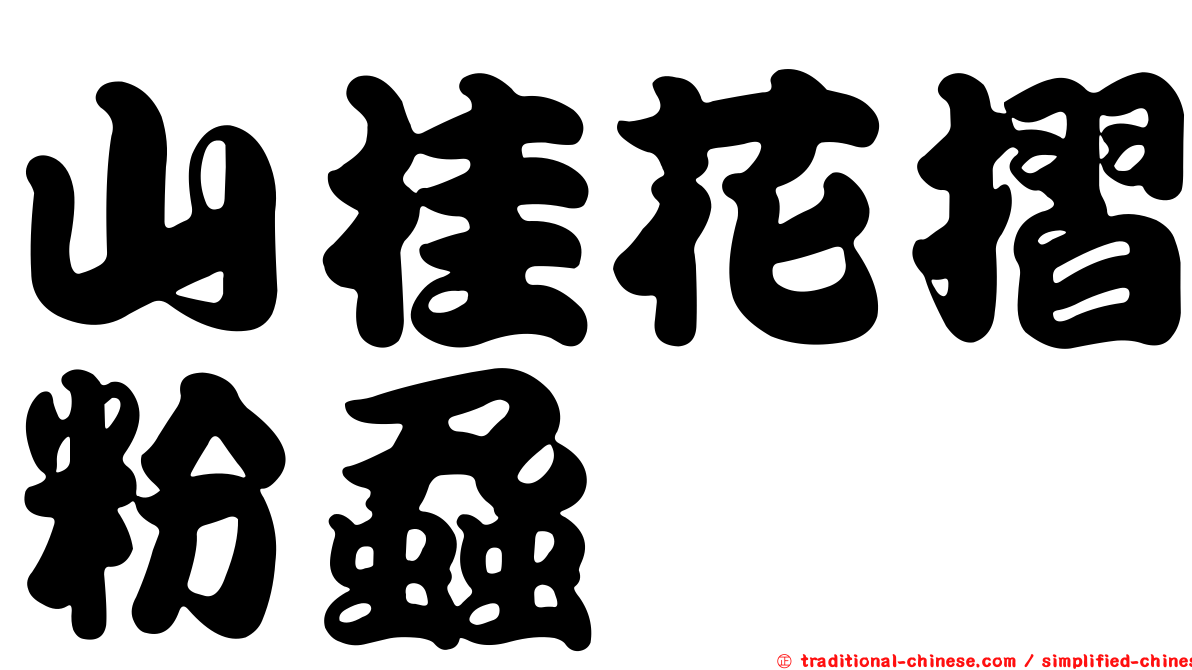 山桂花摺粉蝨