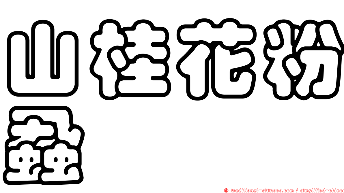 山桂花粉蝨