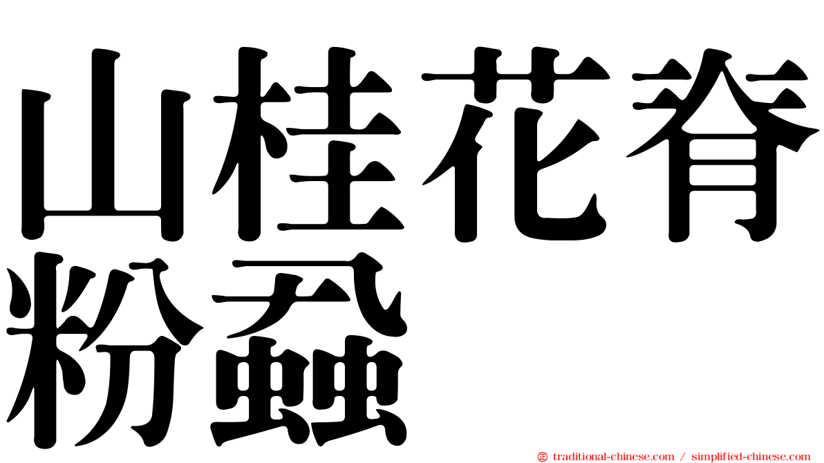 山桂花脊粉蝨