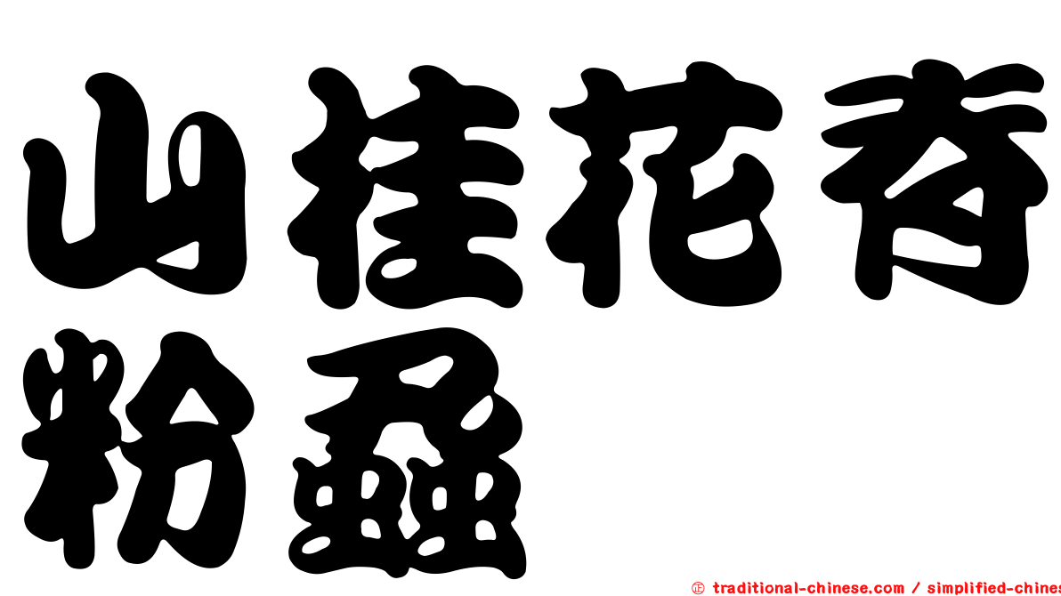山桂花脊粉蝨