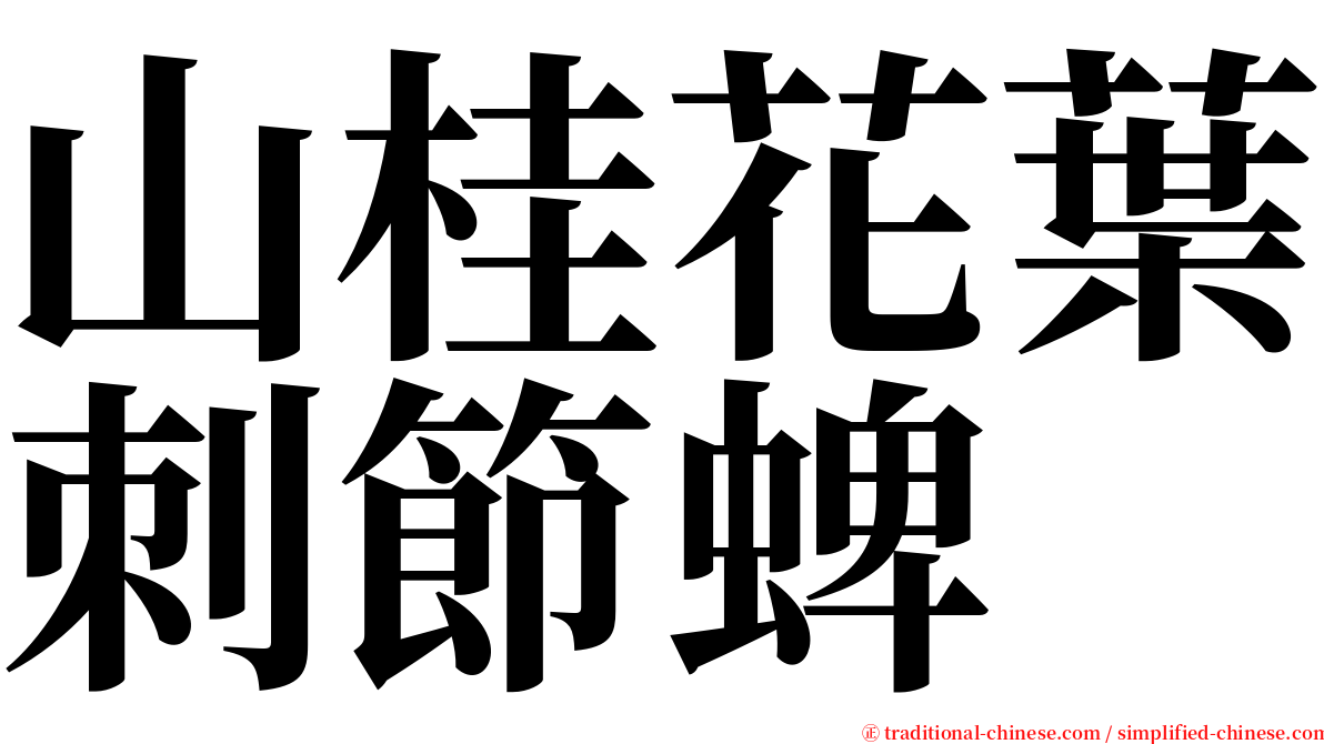 山桂花葉刺節蜱 serif font