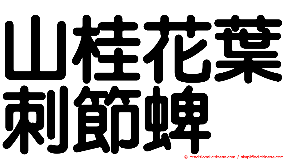 山桂花葉刺節蜱